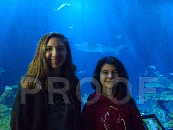 Senior in Chicago - Shedd Aquarium